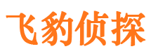 薛城飞豹私家侦探公司